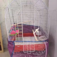 قفس عروس کوتوله و گرینچک