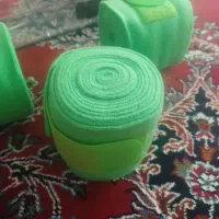 ساق بند ومچ بند اسب