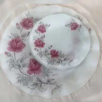 ظروف پذیرایی