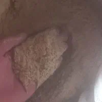 سبوس