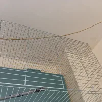 قفس پرنده