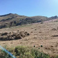 یونجه|عمده‌فروشی|اهر, |دیوار
