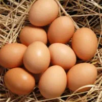 تخم مرغ محلی