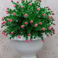 گل و باکس گل خواستگاری