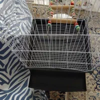 قفس پرنده سفیدرنگ باسینی مربوطه