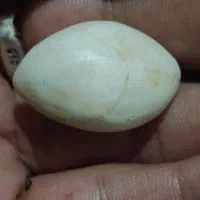 مهره