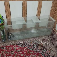 اکواریوم