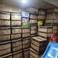 خرید فروش کارتن موز،سلفون ضربه گیر حبابدار