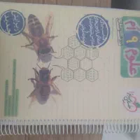 کتاب علوم نهم تیزهوشان