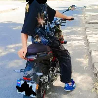 بنلی300مدل 1401