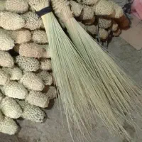 ۶۲دوتا جارو
