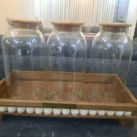 پاسماوری