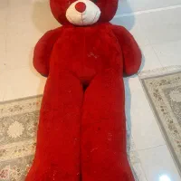 خرس خیلی بزرگ با قد ۱۷۰ سانت