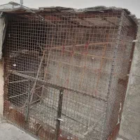 قفس کبوتر