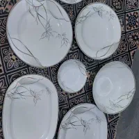 سرویس چینی ۱۲ نفره و ارکوپال ۶ نفره و جا ادویه