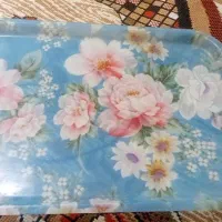 سینی استیل لاکی تخته گوشت کاسه جیری