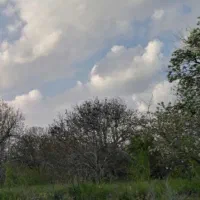 زمین