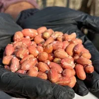 بادام زمینی درشت اورجینال