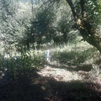 زمین خانه سرا