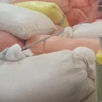 خوراک دام وطیور