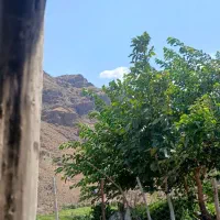 خانه