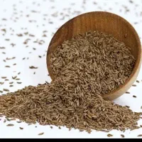 زیره کوهی