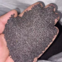 بالنگو یا تخم شربتی