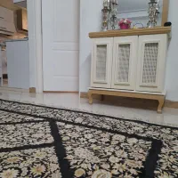 دو عدد فرش ماشینی ۹ متری