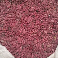 فروش لوبیا قرمز محلی دانه ریز تمیز یک دست