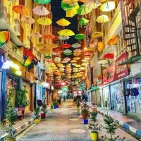 مجری مستقیم تور وان ترکیه