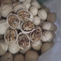 گردو اعلای  پوست کاغذی