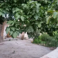 خانه ویلایی ۵۵۰متری