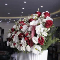 استخدام مژه کار حرفه ای و متعهد