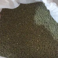 ماش هندی برا فروش