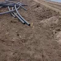 لوله