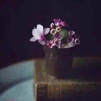 دعوت به سرمایه گزاری در یک مجموعه پخش مواد غذایی