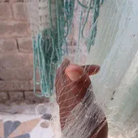 تورگاریزی