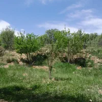 فروش-یامعاوضه-زمین-باغشهری-باماشین-سواری