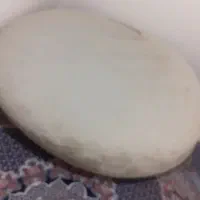 تشک گردی نرم