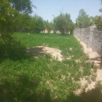 باغ و باغچه/۶۵۰ متری/سند تک برگ/عرصه و عیان