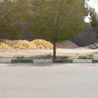 فروش زمین ۱۵۰متری/سند تکبرگ/ پروانه ساخت/شهر قنوات