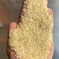برنج ۱۱۲۱ استیم پاکستانی