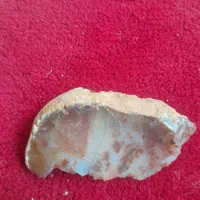 شجر|بدلیجات|فسا, |دیوار