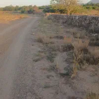 یک قعطه زمین نزدیک طرح هادی روستایی دستگرد