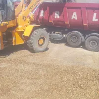 پوست بادام استفاده شتر  بز  میش کهره بره  گاو اسب