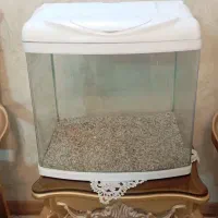 آکواریوم