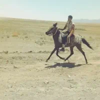 کره نرون یورغه