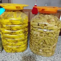 ترشی بیلهر