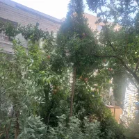 رهن کامل یک واحدمسکونی