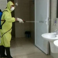 سم پاشی حشرات سوسک ساس کنه موریانه موش سمپاشی مگس